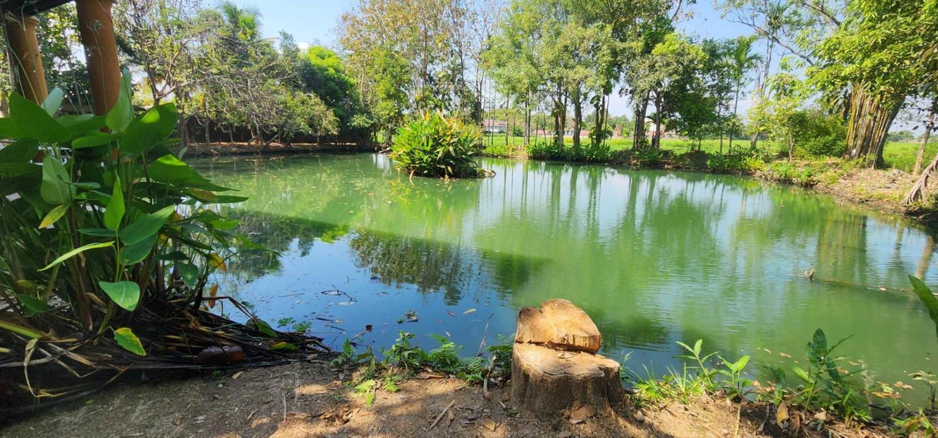 מאה רים Tung Tong Homestay & Camping מראה חיצוני תמונה