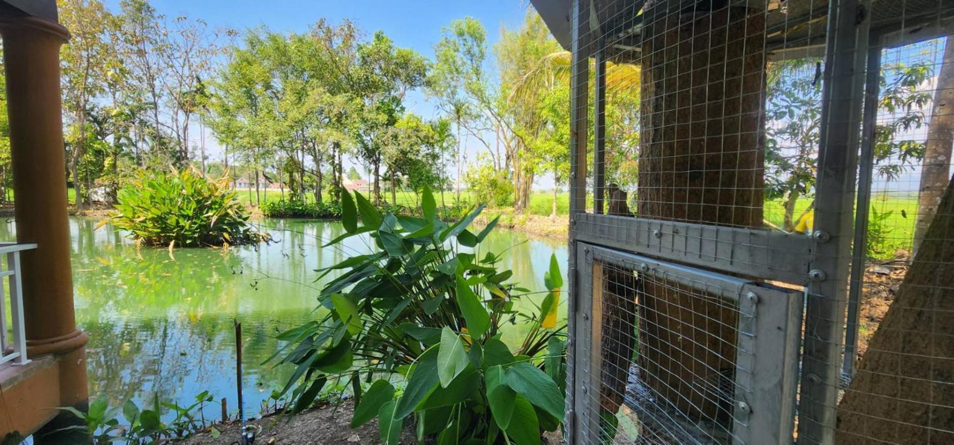 מאה רים Tung Tong Homestay & Camping מראה חיצוני תמונה